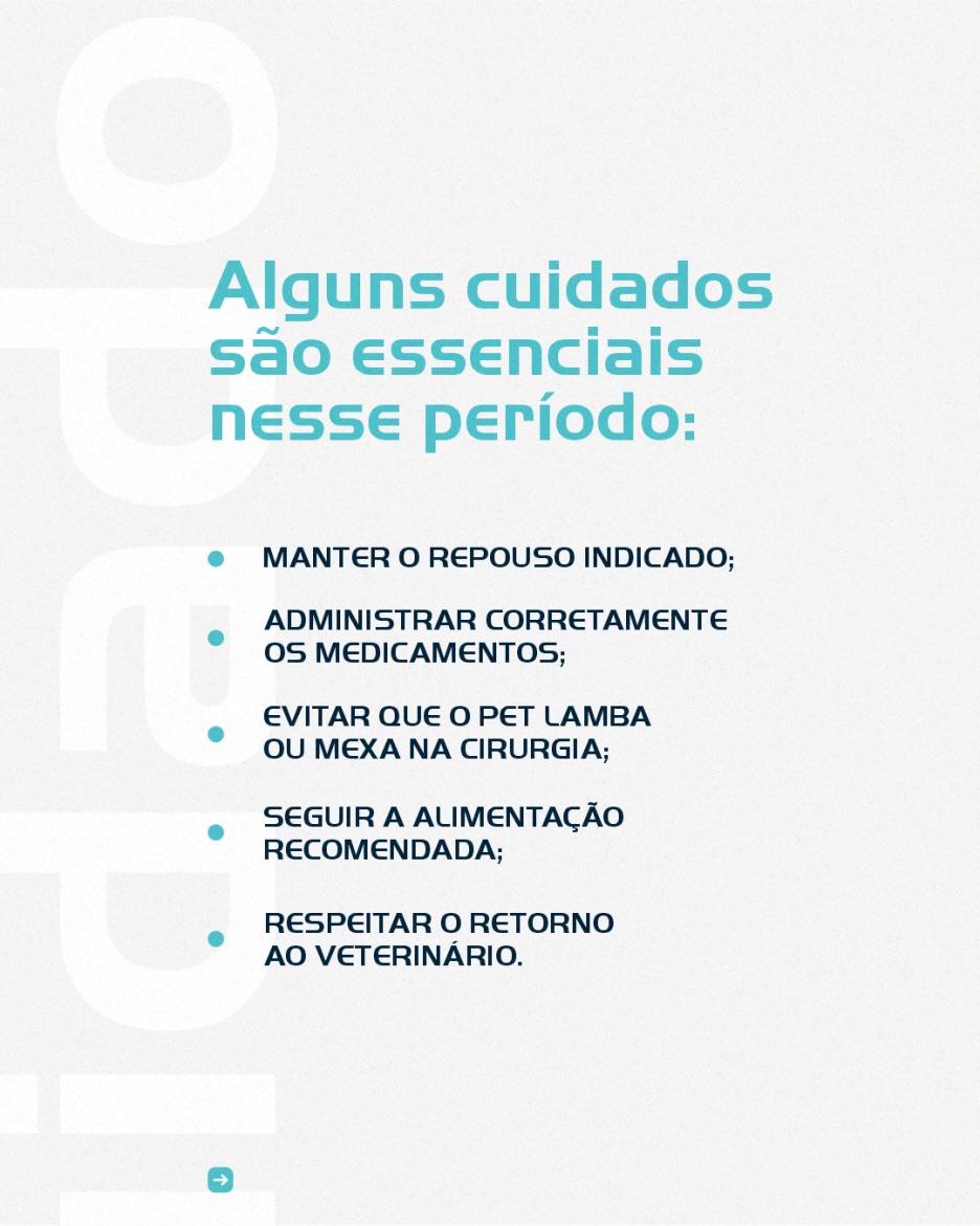  A recuperação do seu pet continua em casa, e é nesse momento que a atenção aos detalhes faz toda a diferença no resultado.