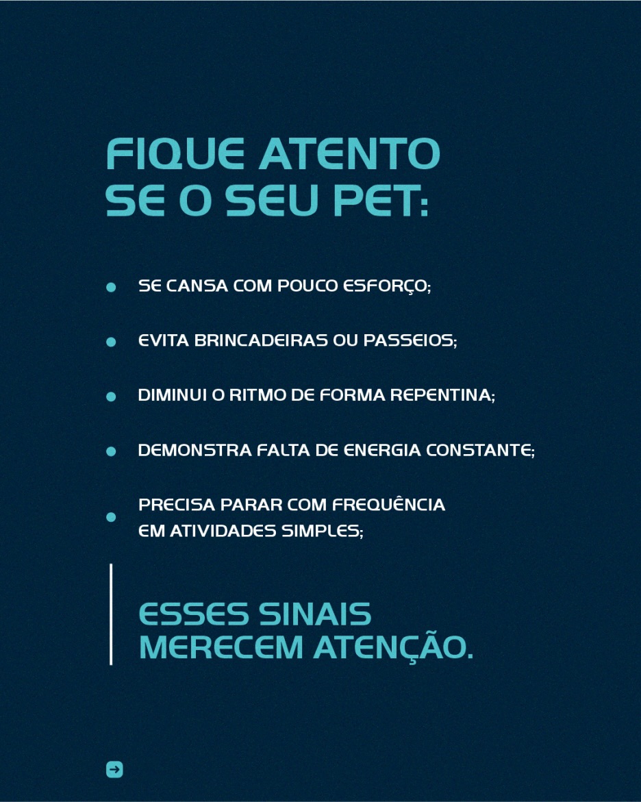 Você percebe que, aos poucos, seu pet já não tem a mesma disposição de antes.