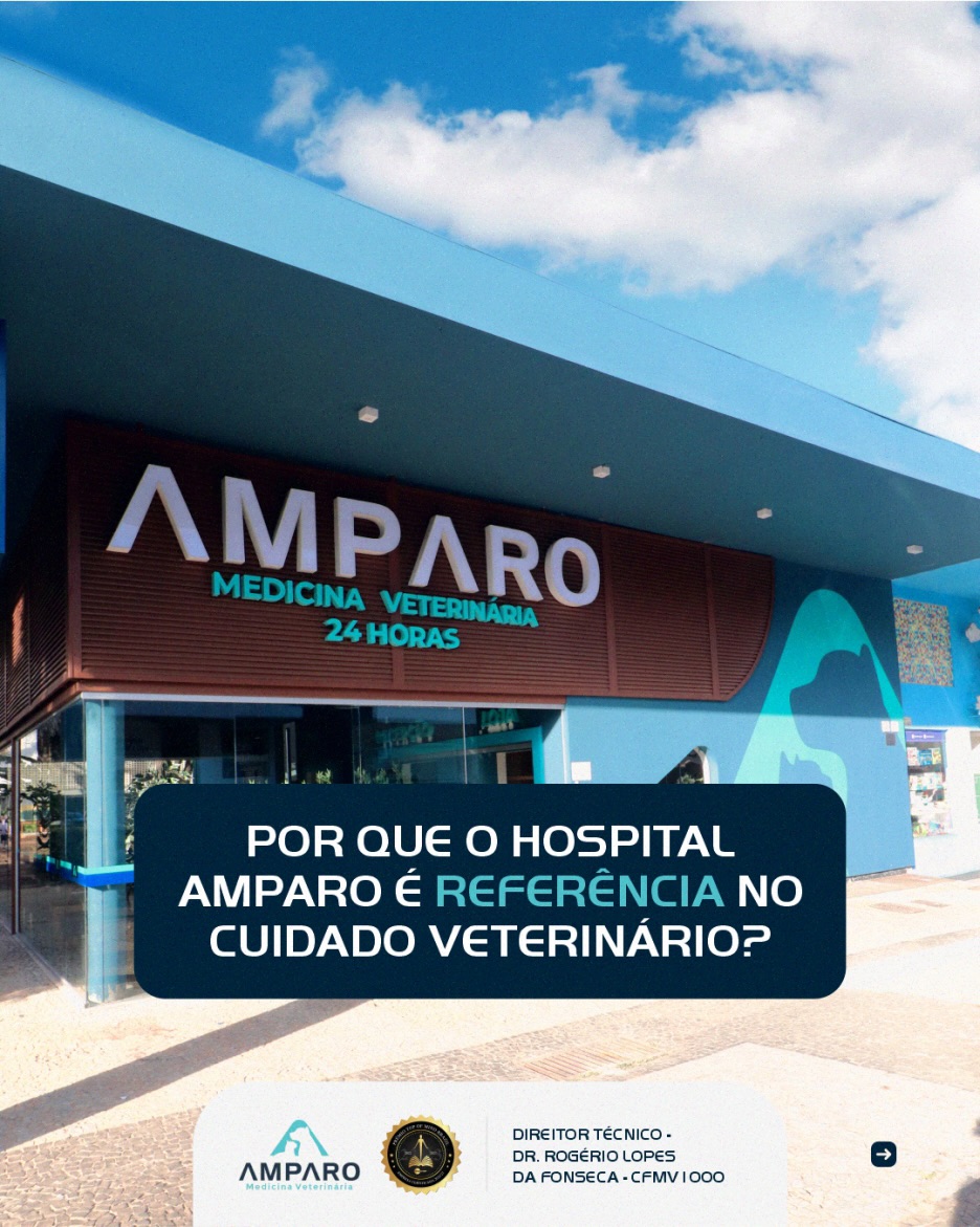 Ser referência vai muito além de estrutura.