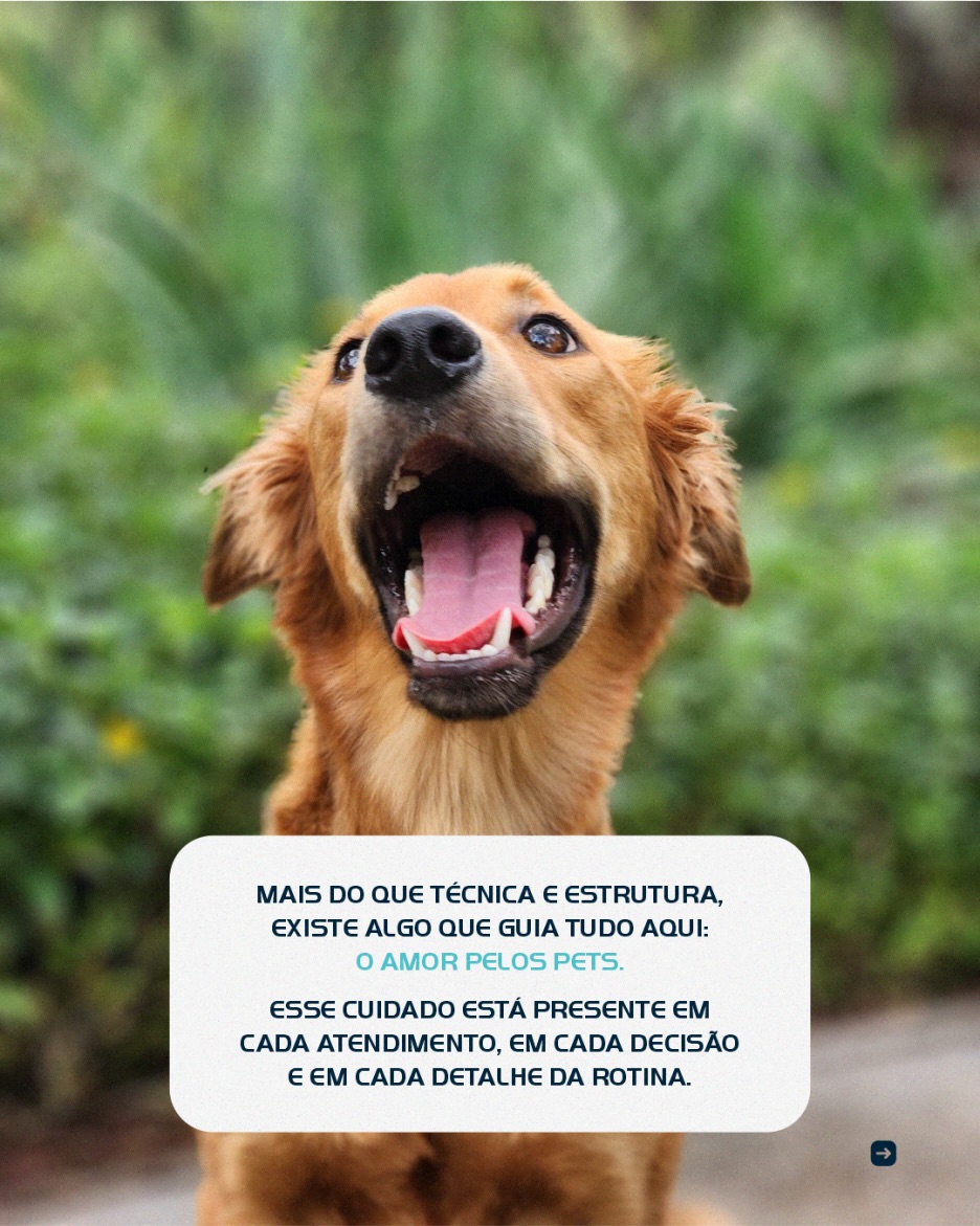 Ser referência vai muito além de estrutura.