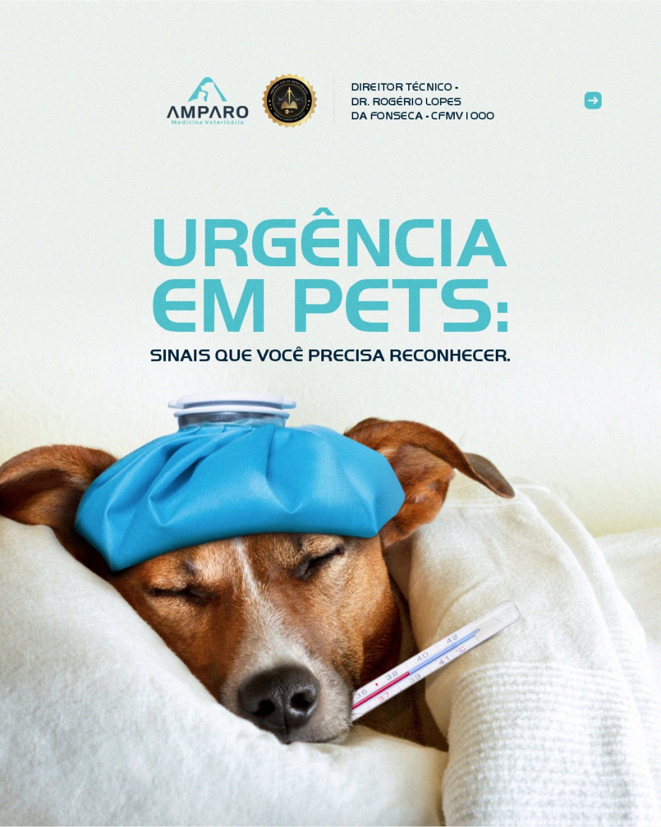 Reconhecer cedo é o que salva vidas.