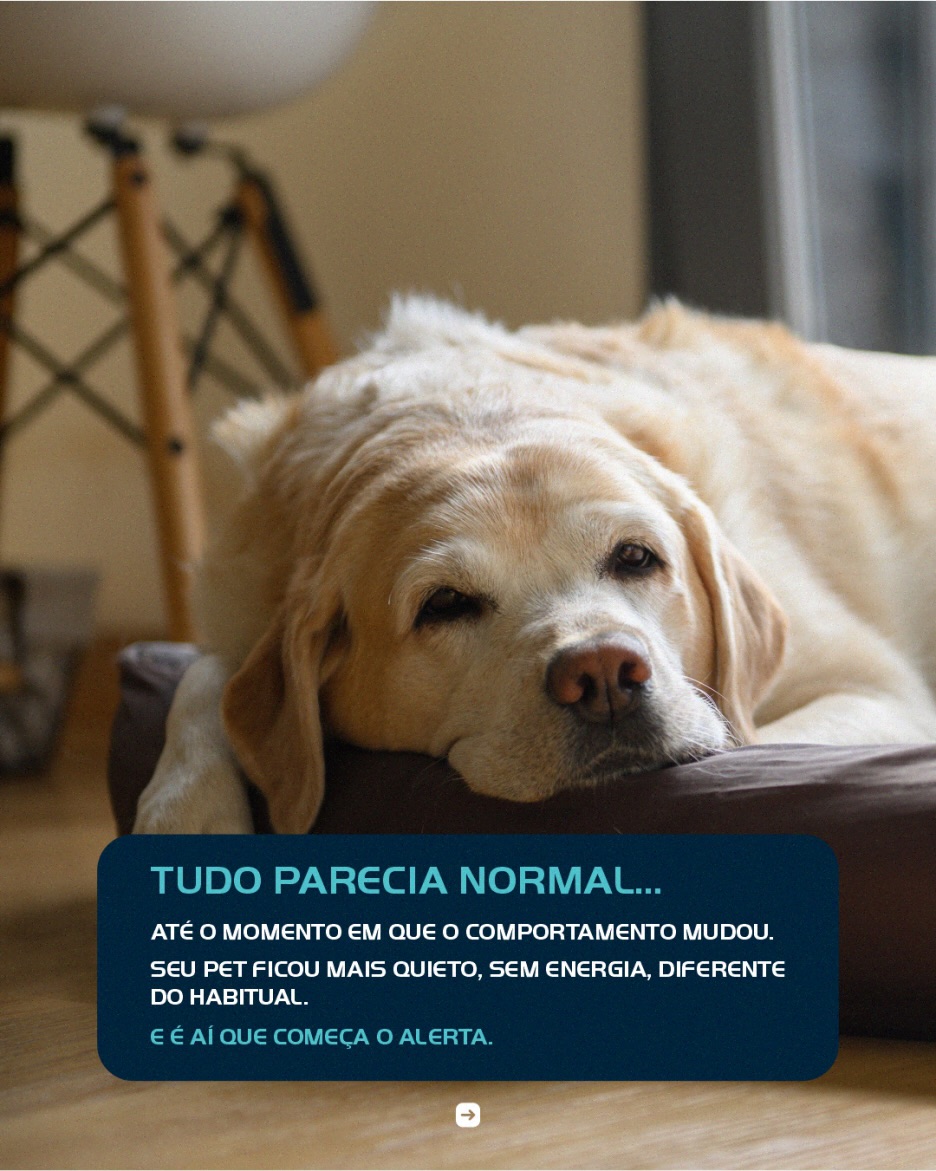 Reconhecer cedo é o que salva vidas.