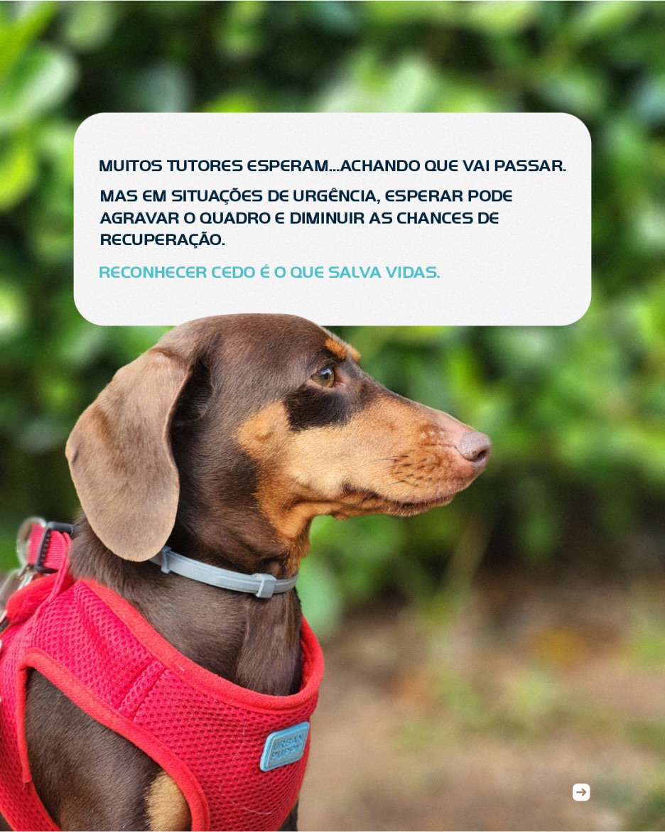 Reconhecer cedo é o que salva vidas.