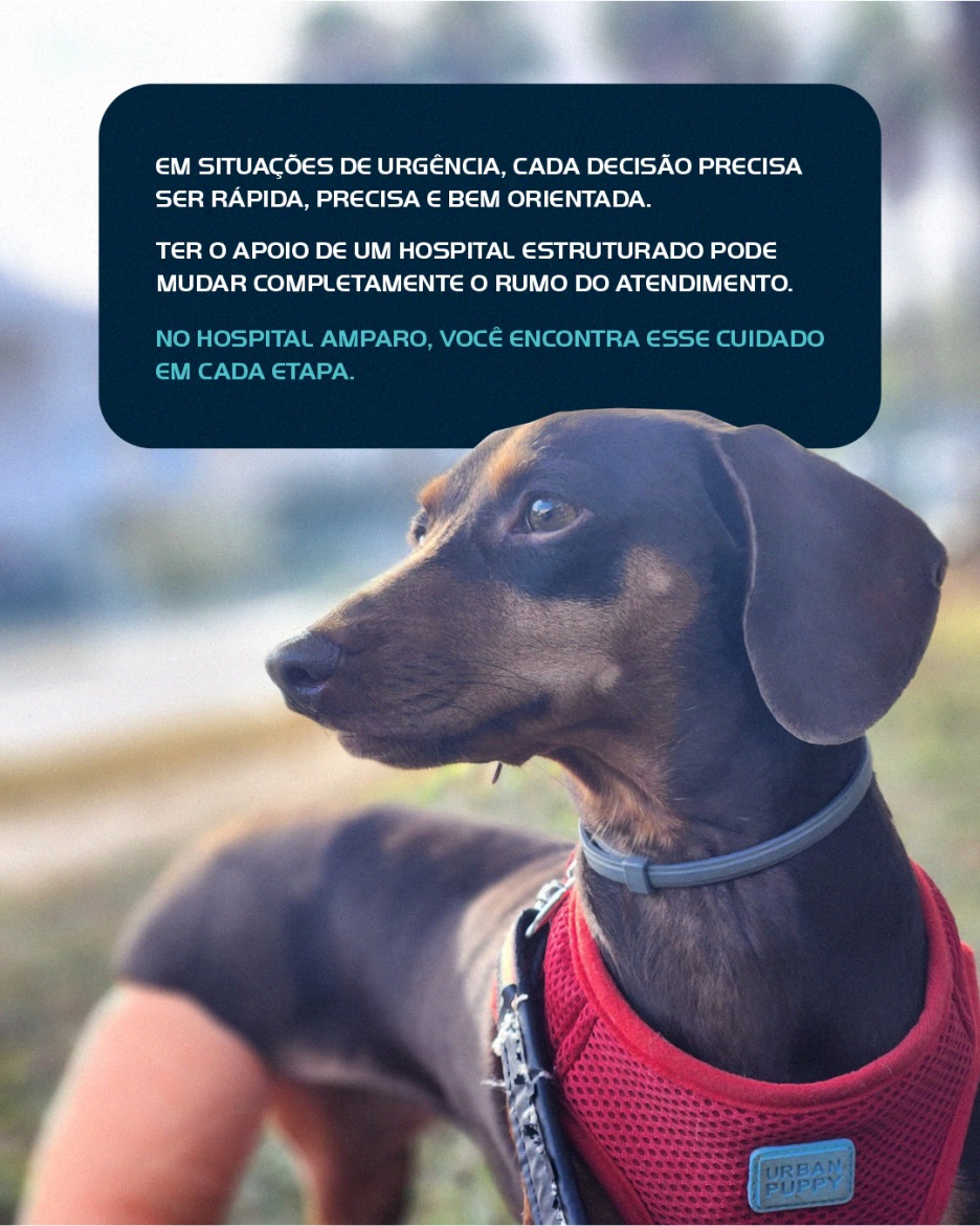 Reconhecer cedo é o que salva vidas.