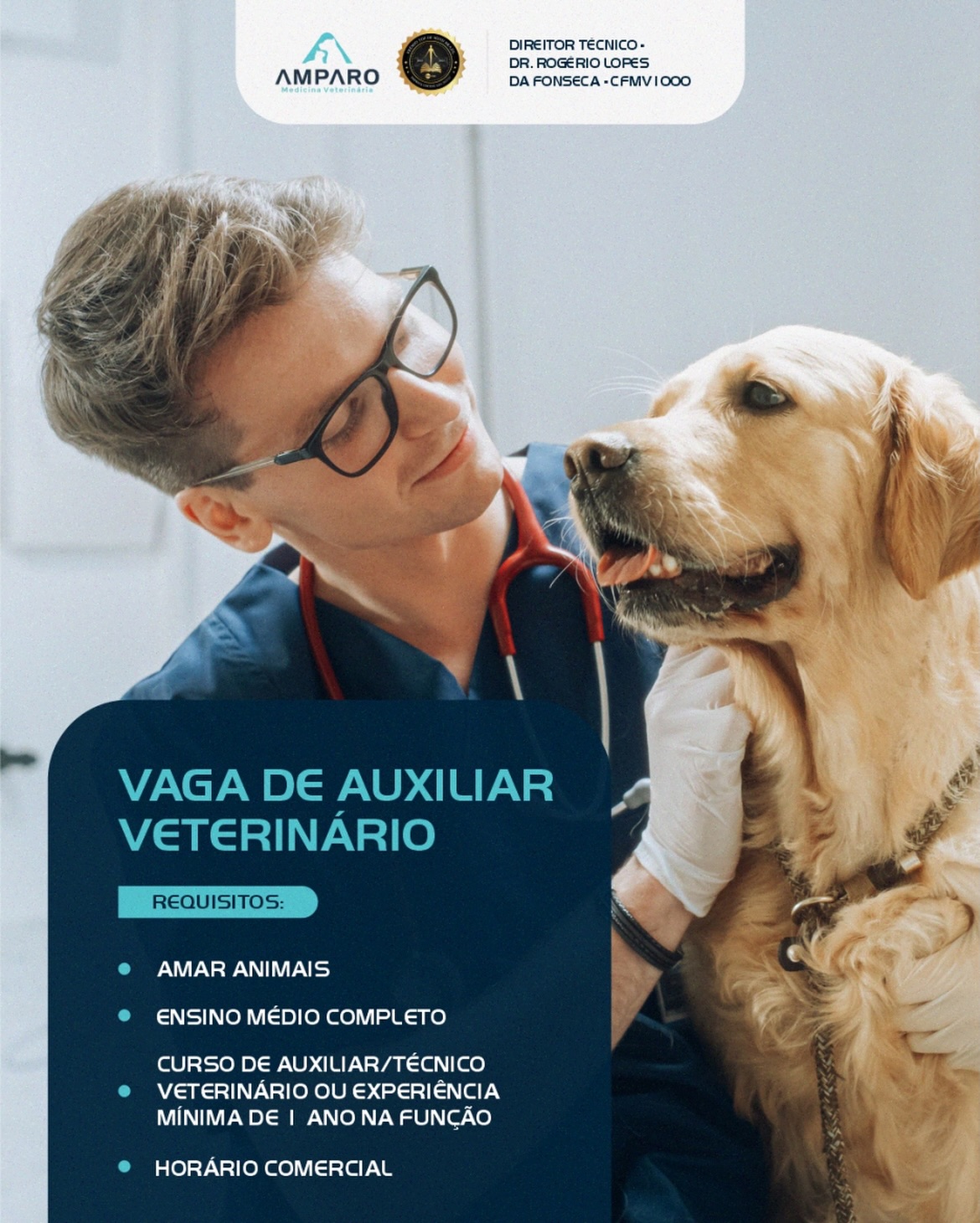 Estamos em busca de um(a) Auxiliar Veterinário(a) para fazer parte da equipe do Hospital Amparo.