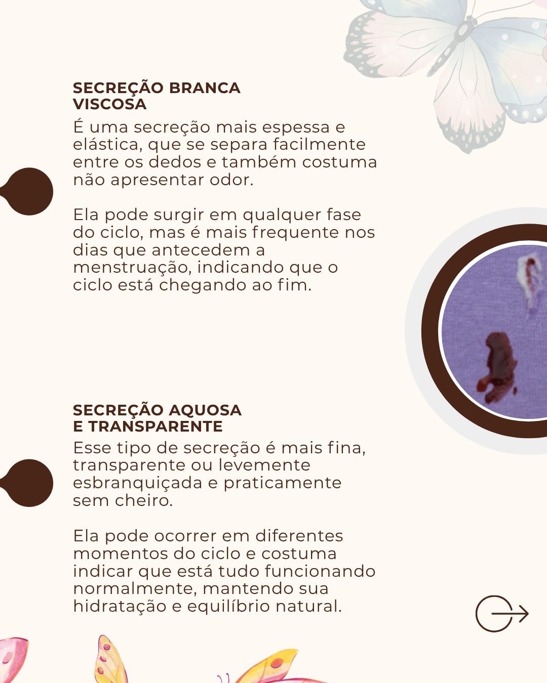Seu guia definitivo das secreções íntimas