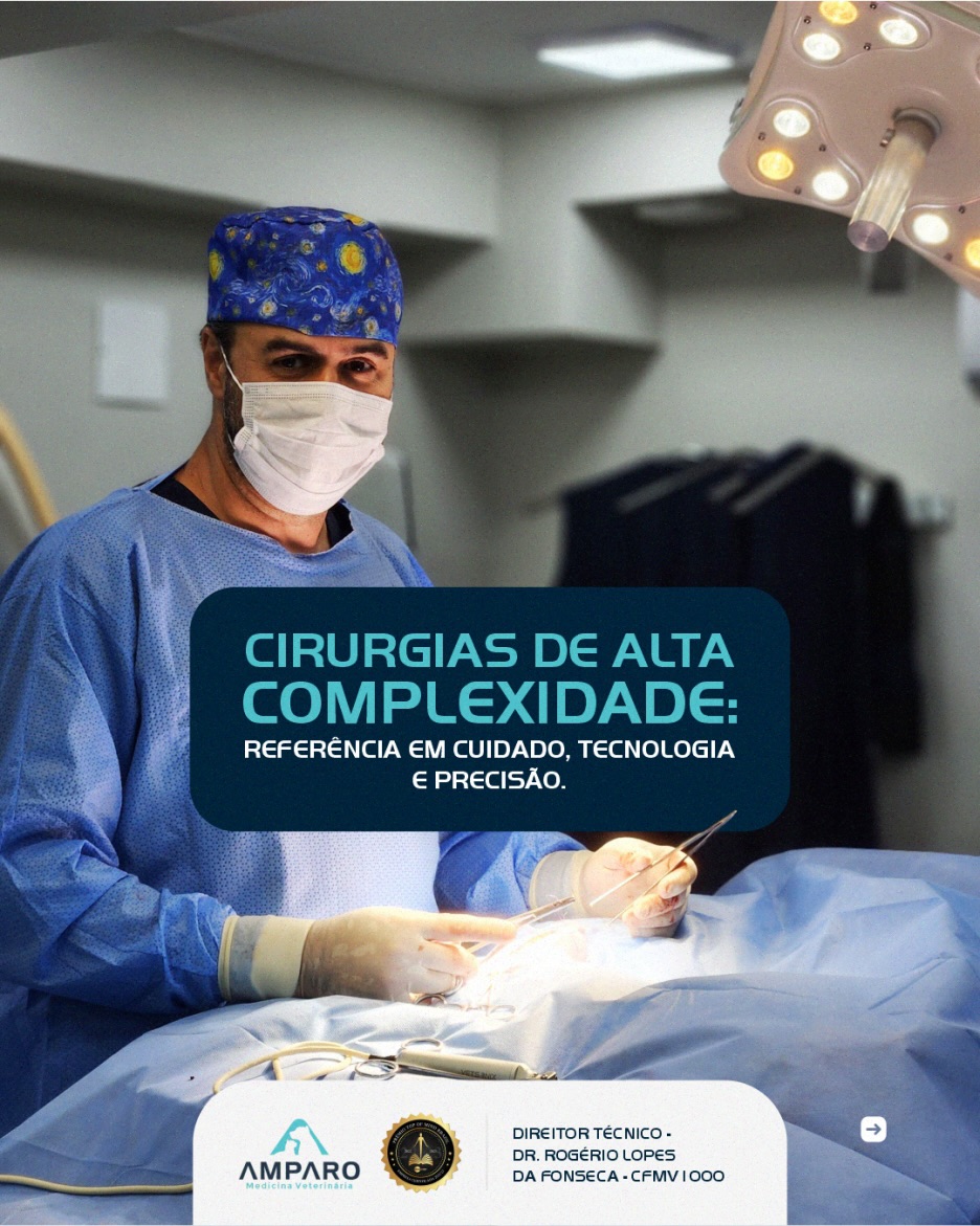 Cirurgias de alta complexidade referência em cuidado tecnologia e precisão.