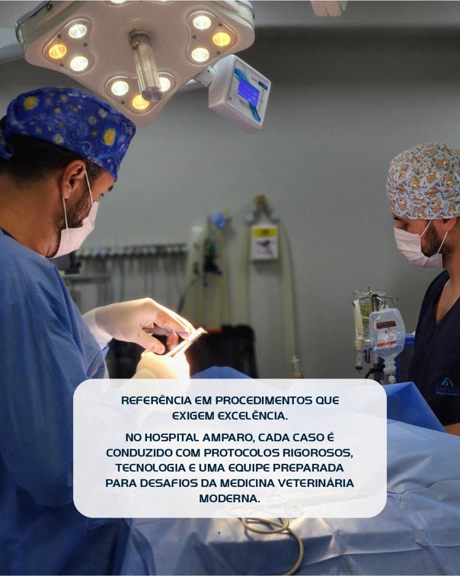 Cirurgias de alta complexidade referência em cuidado tecnologia e precisão.