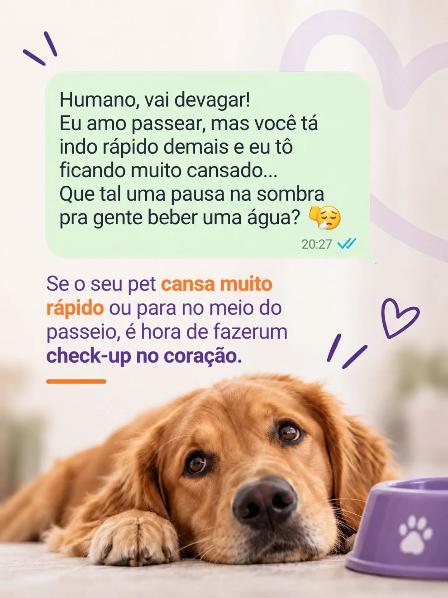 Se o seu pet pudesse me mandar um WhatsApp hoje, o que será que ele diria?