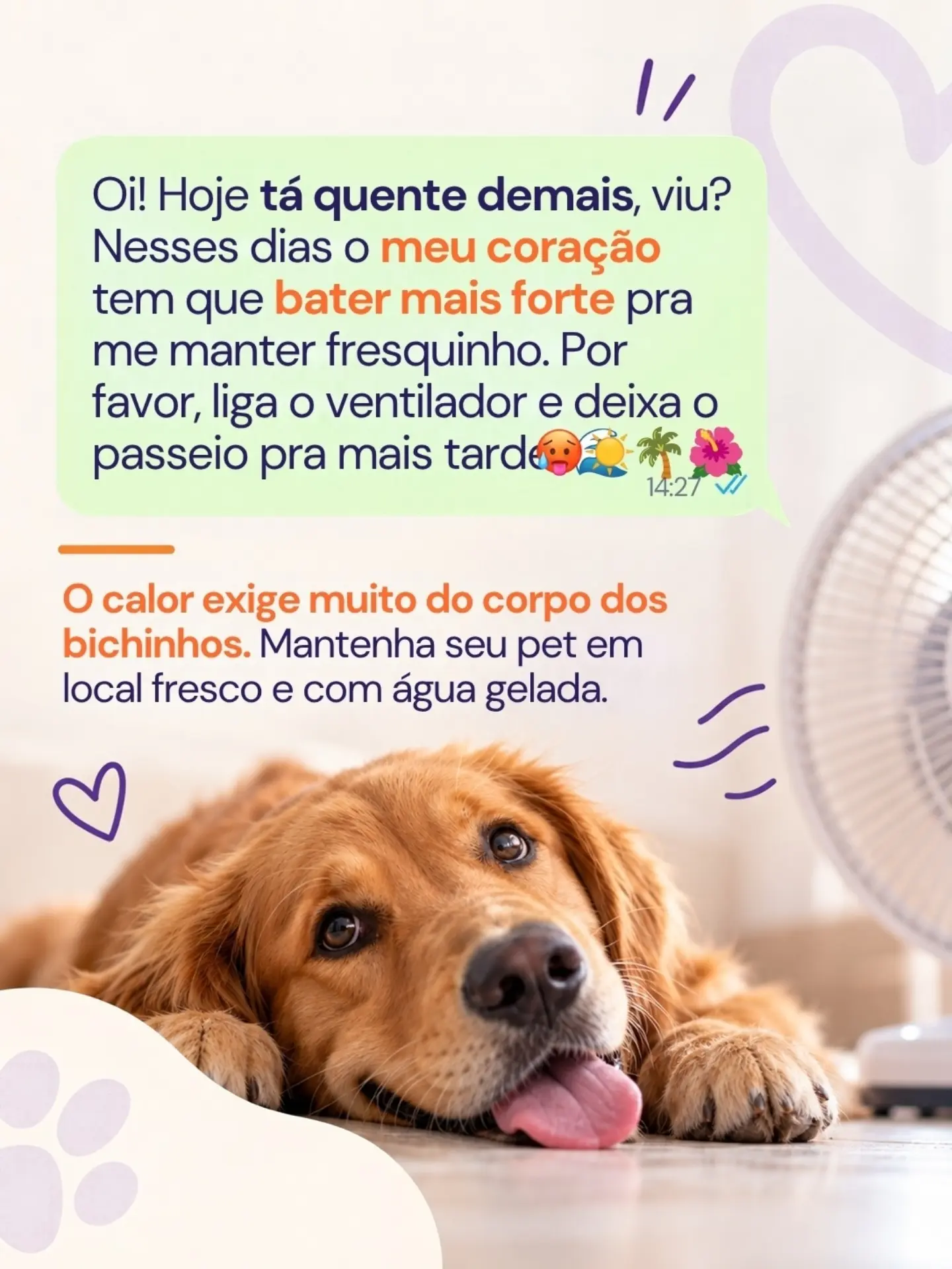 Se o seu pet pudesse me mandar um WhatsApp hoje, o que será que ele diria?