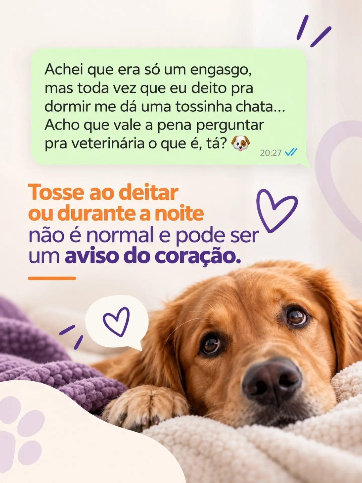 Se o seu pet pudesse me mandar um WhatsApp hoje, o que será que ele diria?