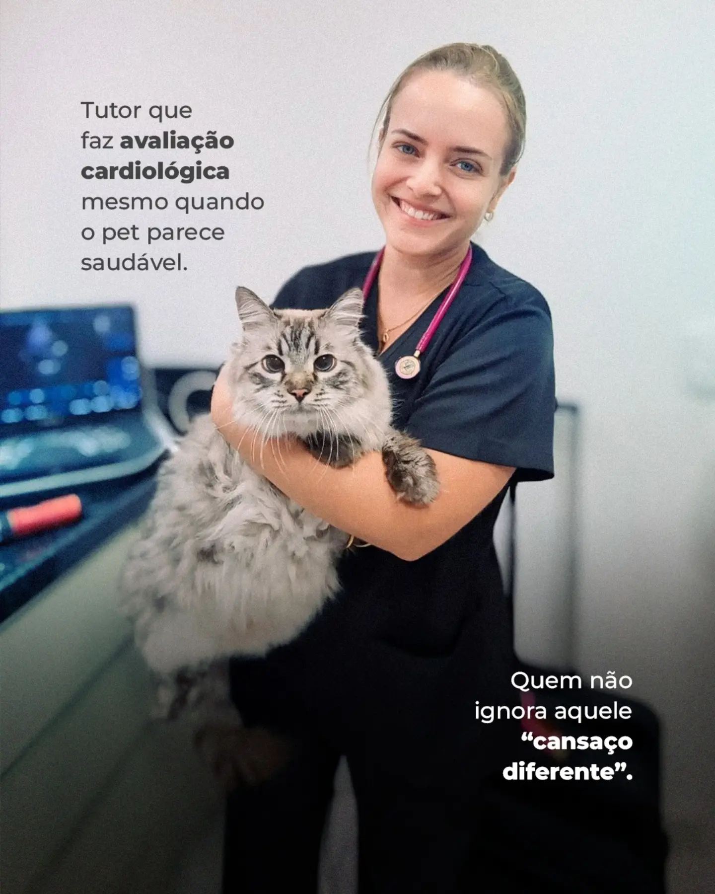 Quando falamos em saúde do coração dos pets, eu sempre reforço a importância da prevenção.