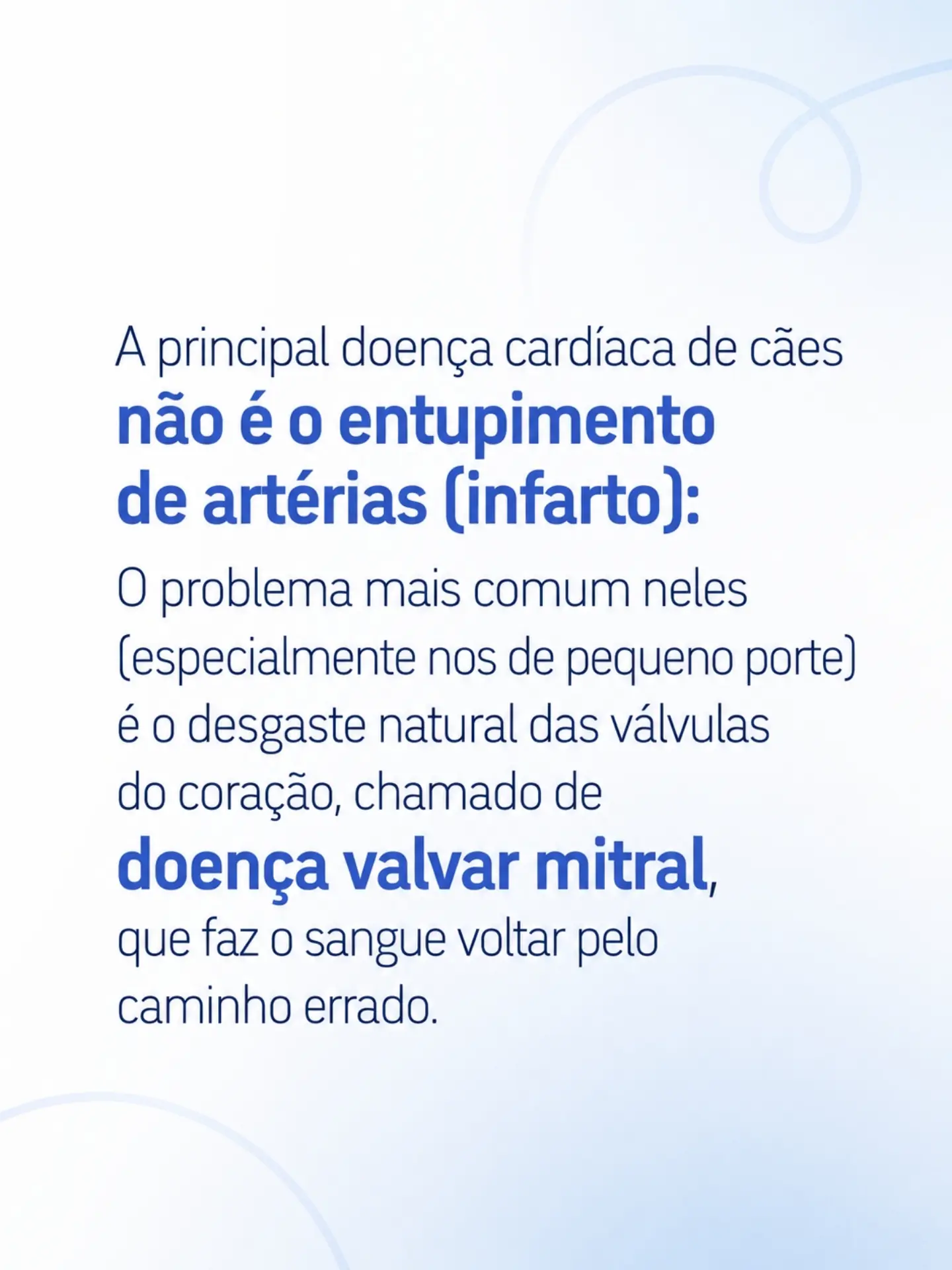 A informação certa, no momento certo, também salva vidas!