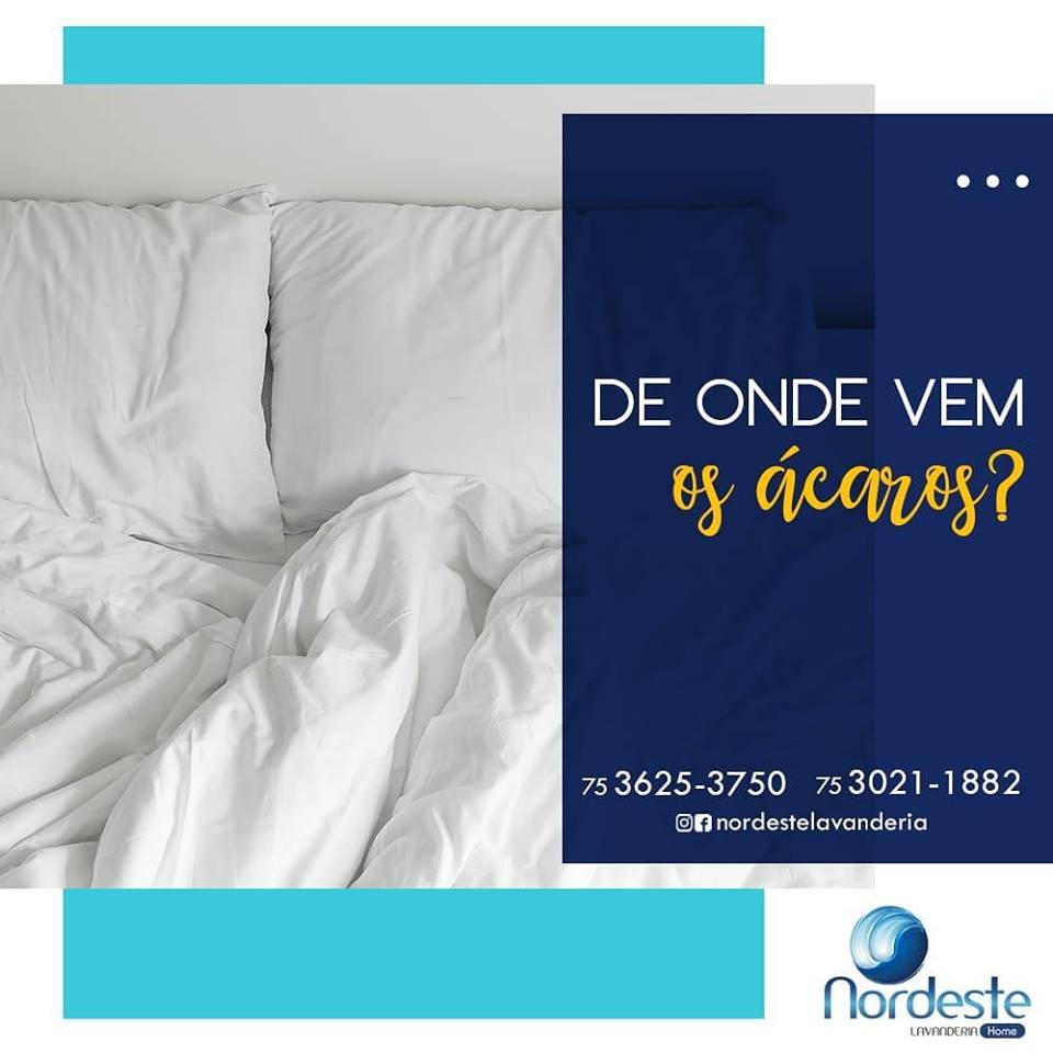 A Nordeste pode eliminar os ácaros da suas roupas!