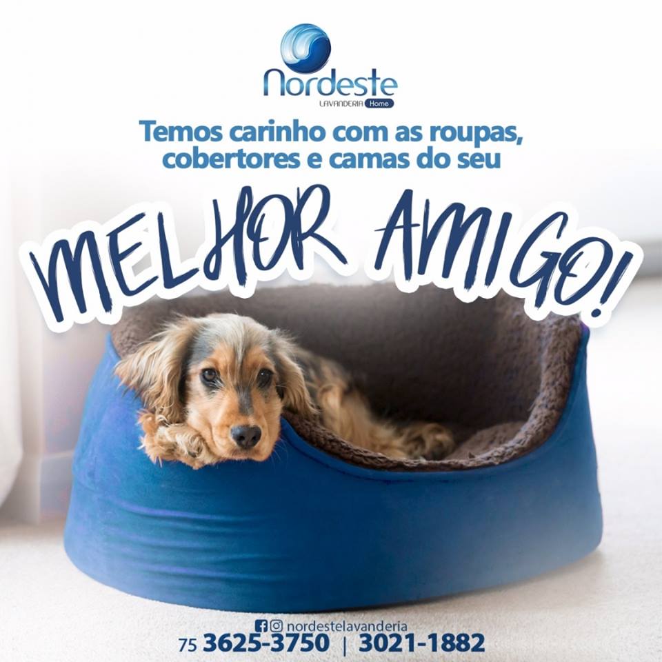 A Nordeste cuida com carinho das roupas do seu Pet!