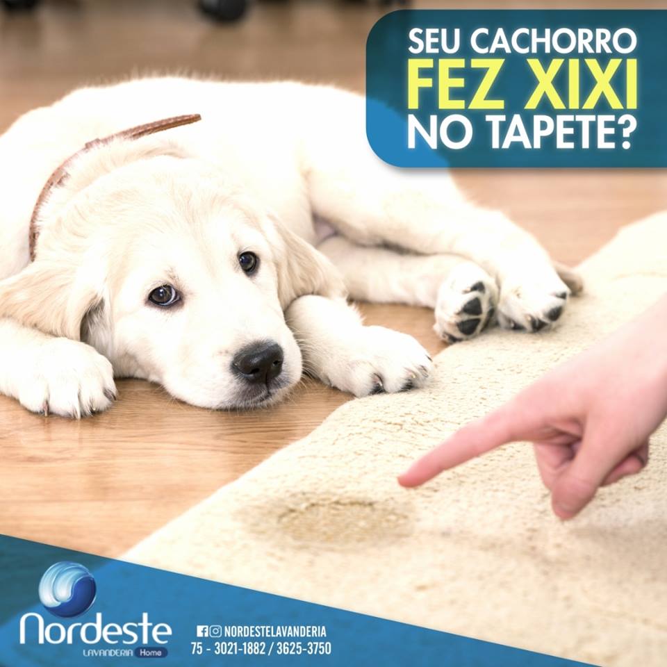 Chame a Nordeste que nós resolvemos o seu problema!