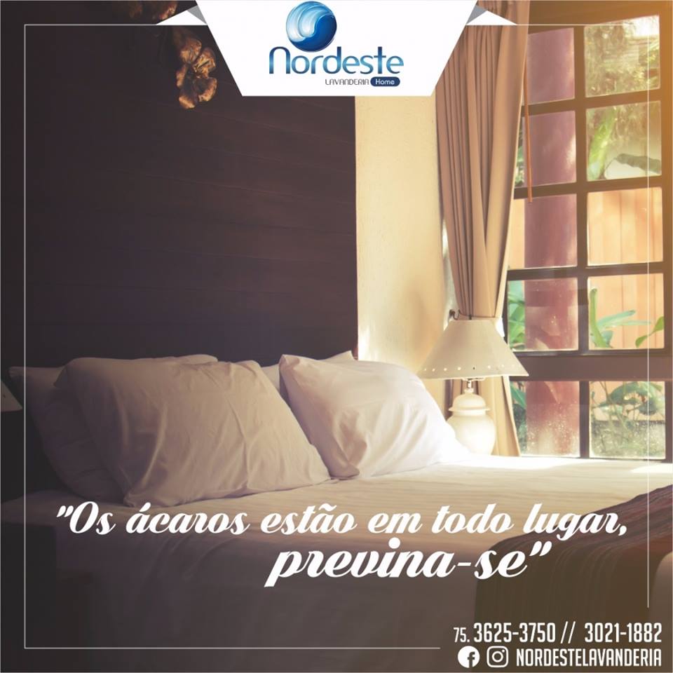Não sofra com os ácaros mande suas roupas pa a Nordeste lavanderia!
