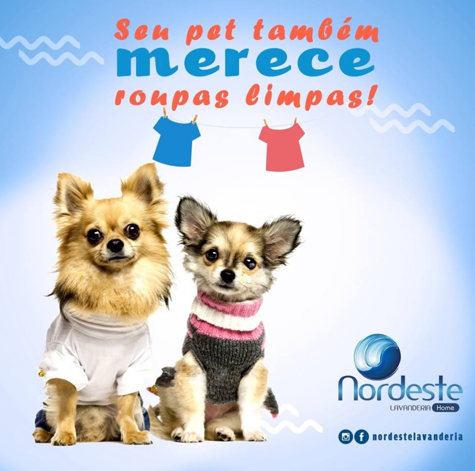 Vem na Nordeste que a gente deixa no capricho !