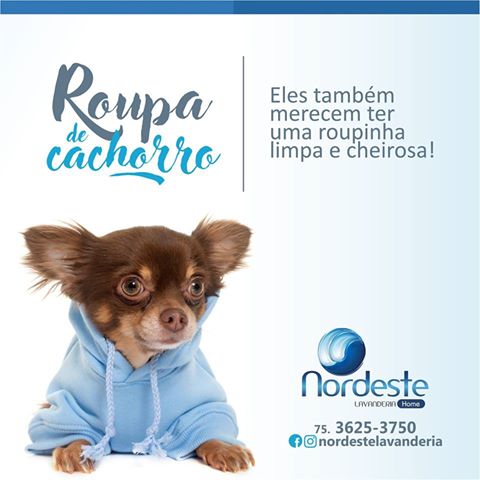 Nós também cuidamos disso pra você!