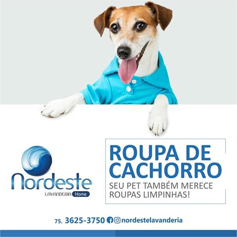 As roupinhas de seu mascote, têm todo nosso carinho também!