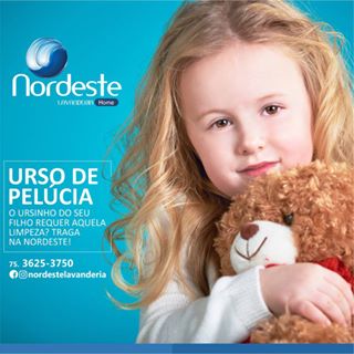 Lave seu ursinho de pelúcia com a Nordeste!