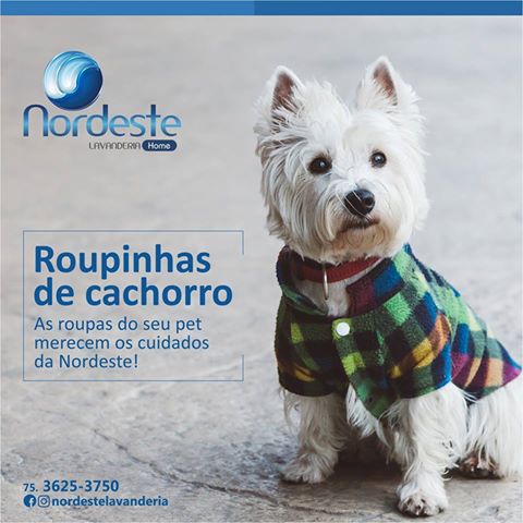 Cuidamos, com muito cuidado, da roupa do seu companheiro!