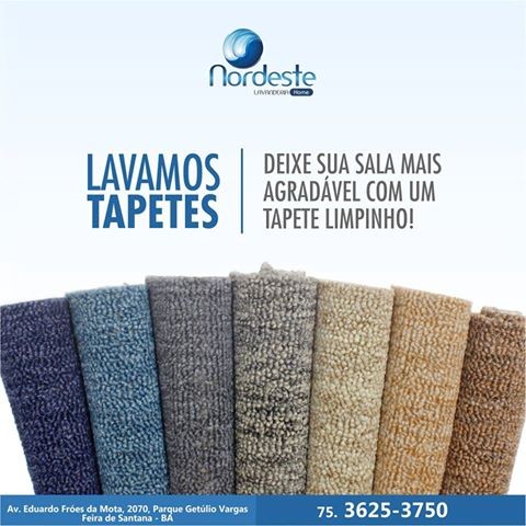 Lavamos tapetes.