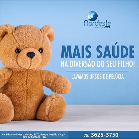 Lavamos Urso de Pelúcia.