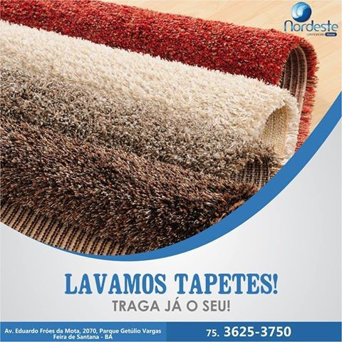 Lavamos tapetes.