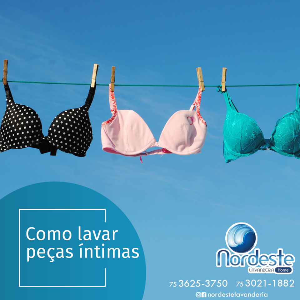 Dicas da Nordeste!