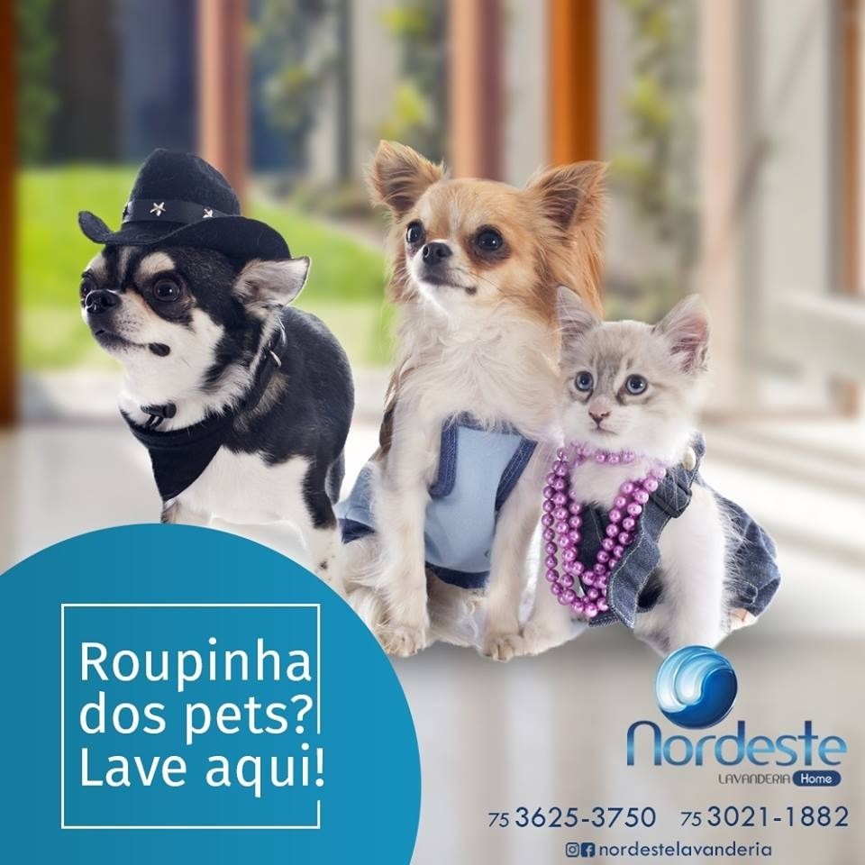 As roupinhas deles? Deixa com a gente!