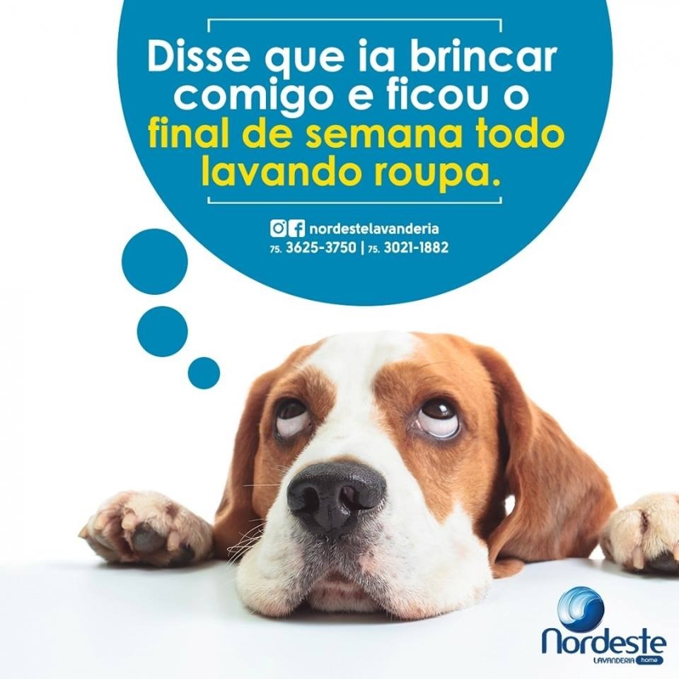 Deixa a Nordeste  te ajudar!