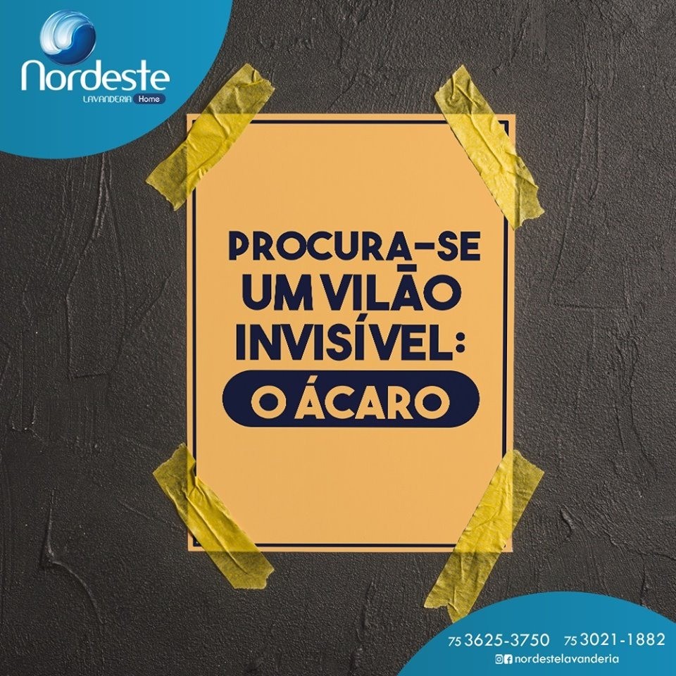 Não acumule roupas sujas, chame a Nordeste!