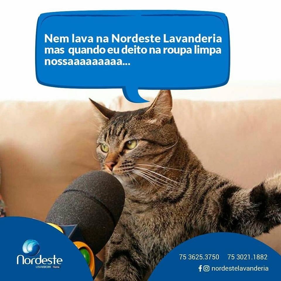 Nordeste Lavanderia a sua diposição!