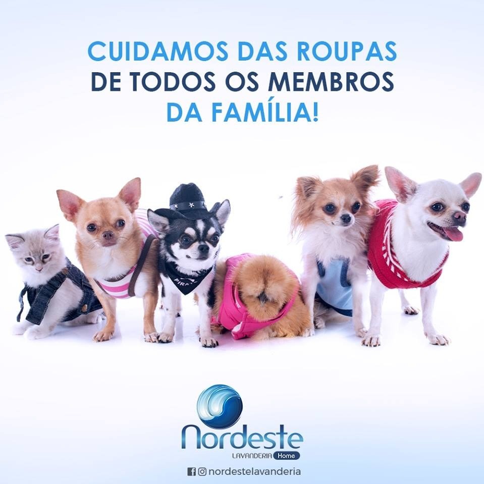 Aqui na Nordeste cuidamos das suas peças com muito carinho