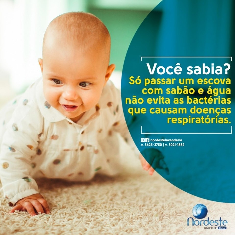 Se Ligue nessa dica da Nordeste!