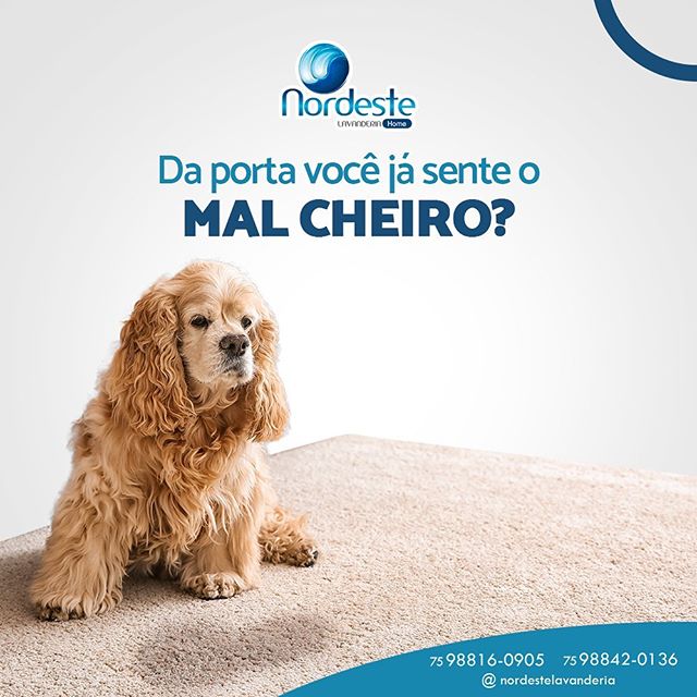 Para melhor higienização do seu tapete deixe conosco!