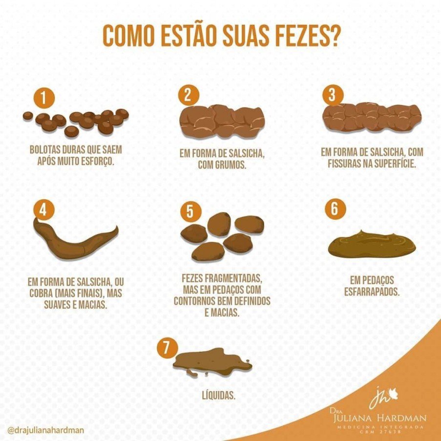 Quanto Tempo Demora Para O Alimento Virar Fezes
