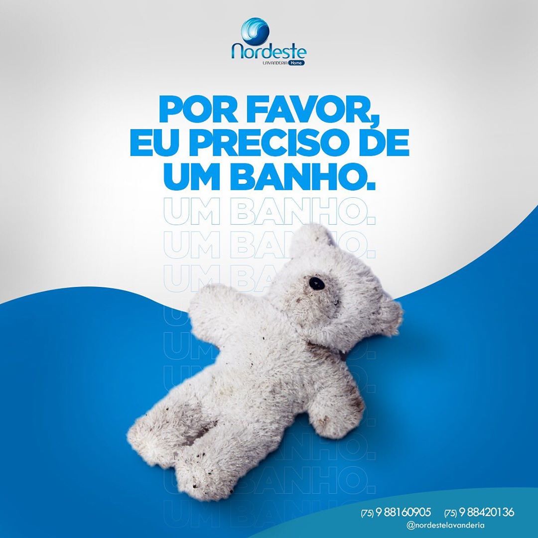 Como anda a higienização do seu ursinho de pelúcia?