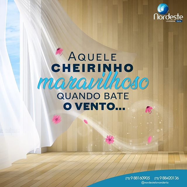 Fazemos lavagem de cortinas e tapetes. Dá uma passadinha aqui!⁣