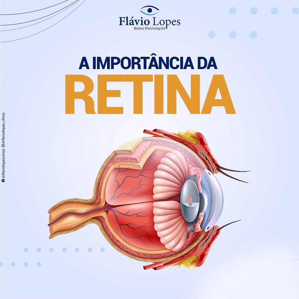 Importância da Retina!