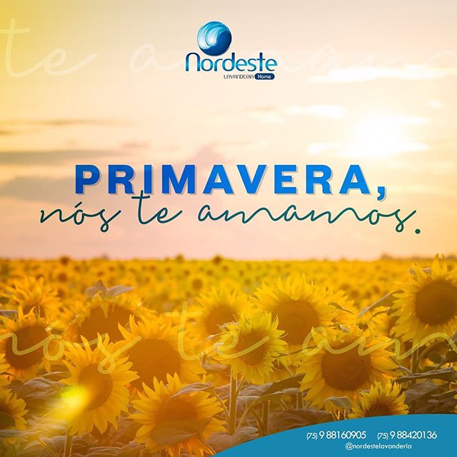 A primavera chegou mais coloridos na sua roupa!