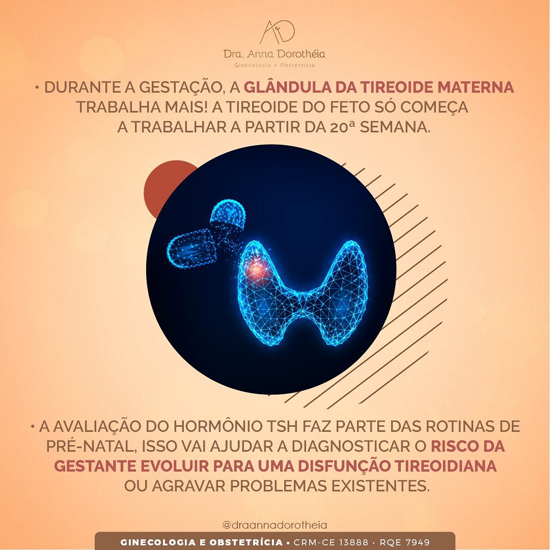 Não tenha mais dúvidas com a relação da tireóide com a gestação.