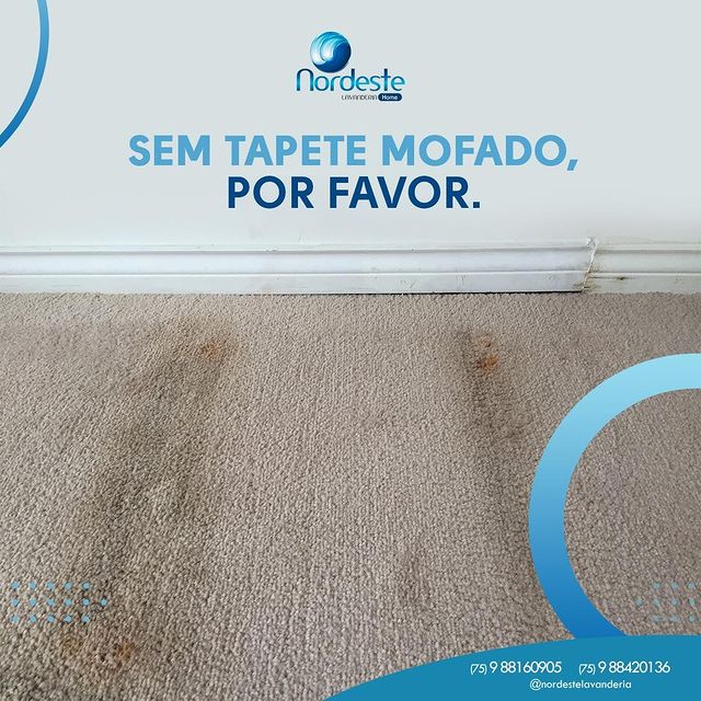 O tapete pode ser um vilão para sua saúde e da sua família.