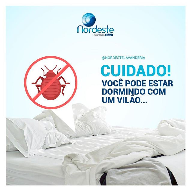 Quando foi a última vez que higienizou corretamente seu travesseiro?