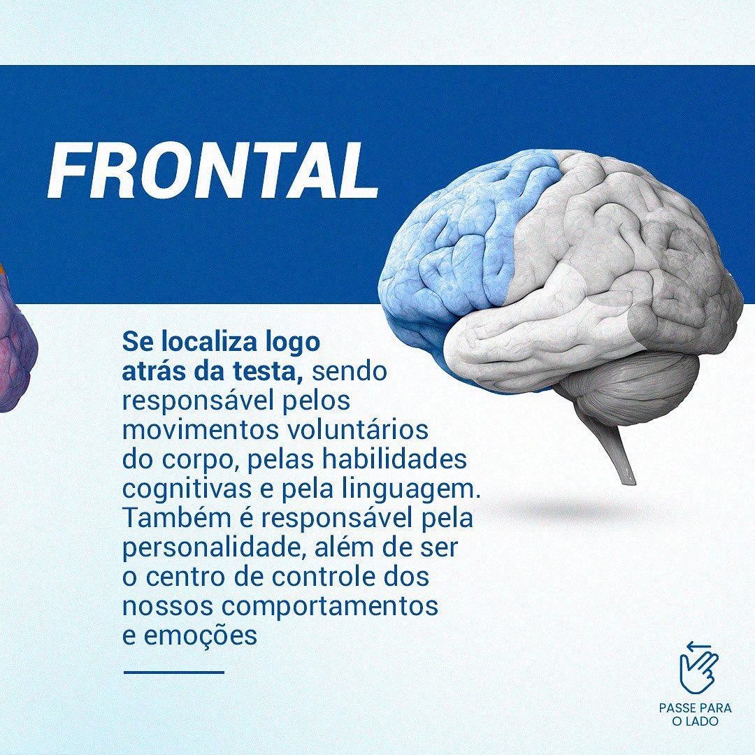 Conheça cada  lobo cerebral e suas  funções.