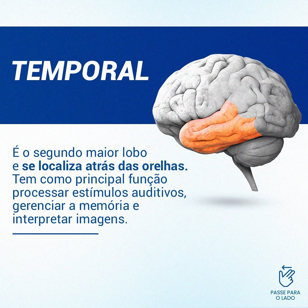 Conheça cada  lobo cerebral e suas  funções.