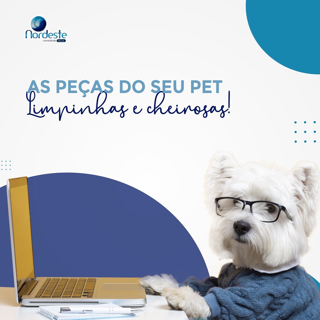 As peças do seu pet limpinhas e cheirosas!