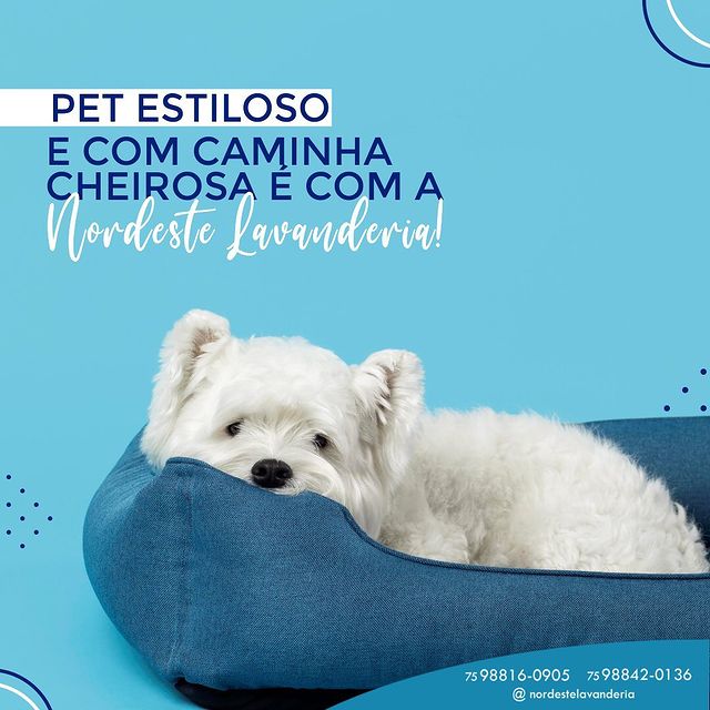Seu Pet fica feliz em uma cama cheirosinha!