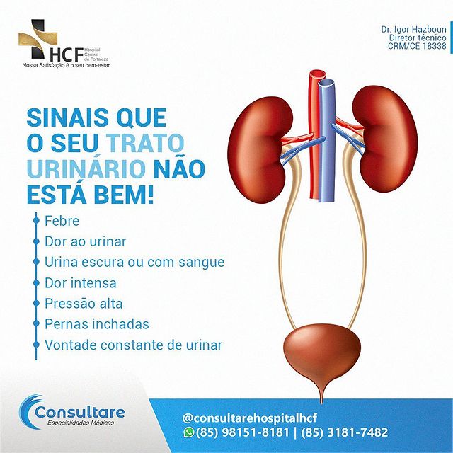 Como anda  o seu  trato urinário?